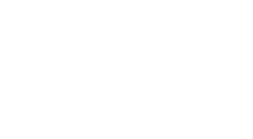 logo patrizi fotografi matrimoni